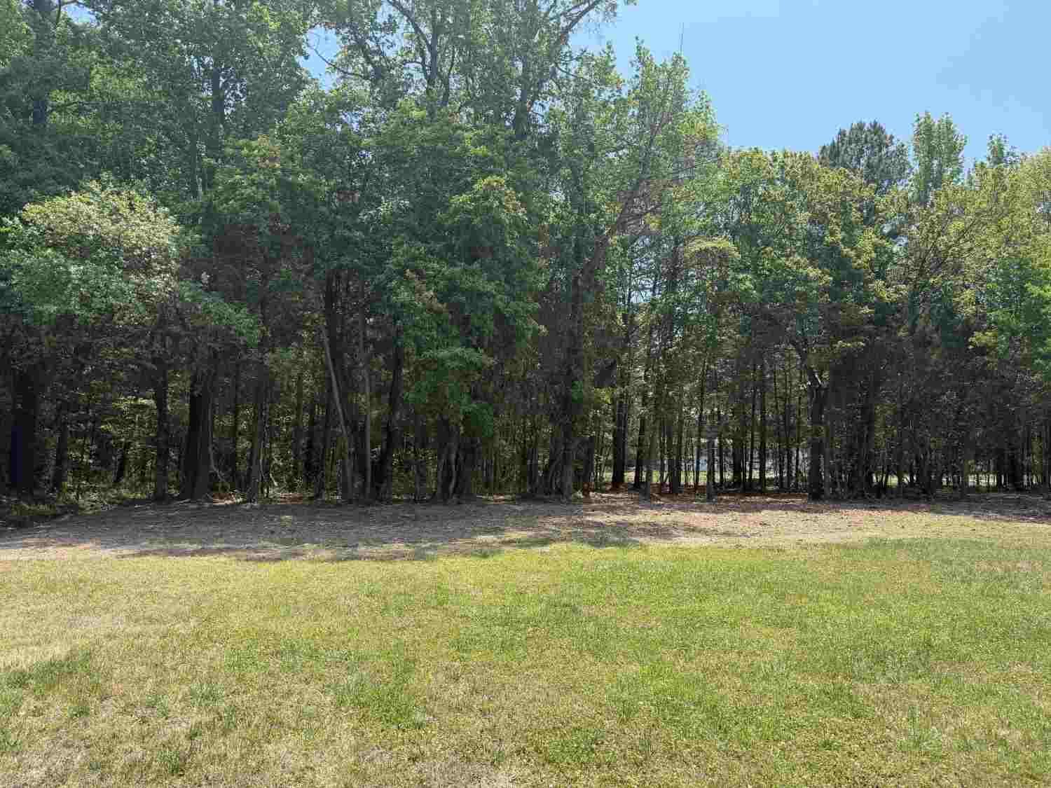 The same property after forestry mulching
