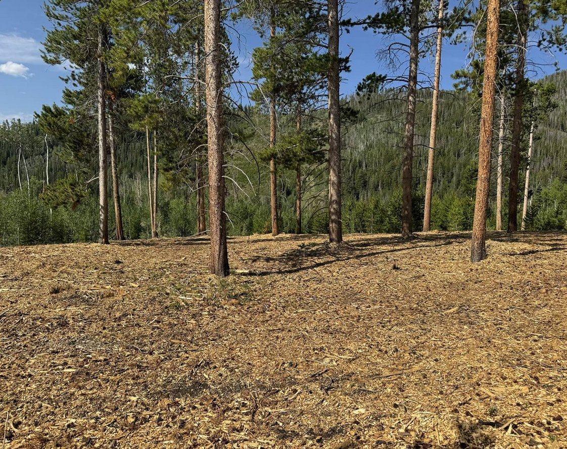 Cleared property after forestry mulching
